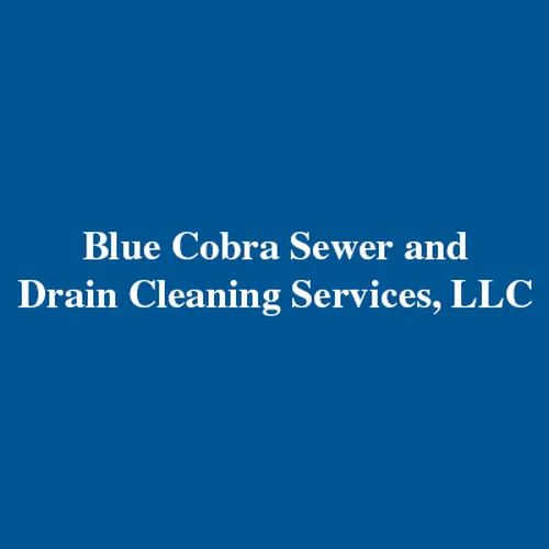 Slide of Blue Cobra Sewer and Drain Cleaning Services
