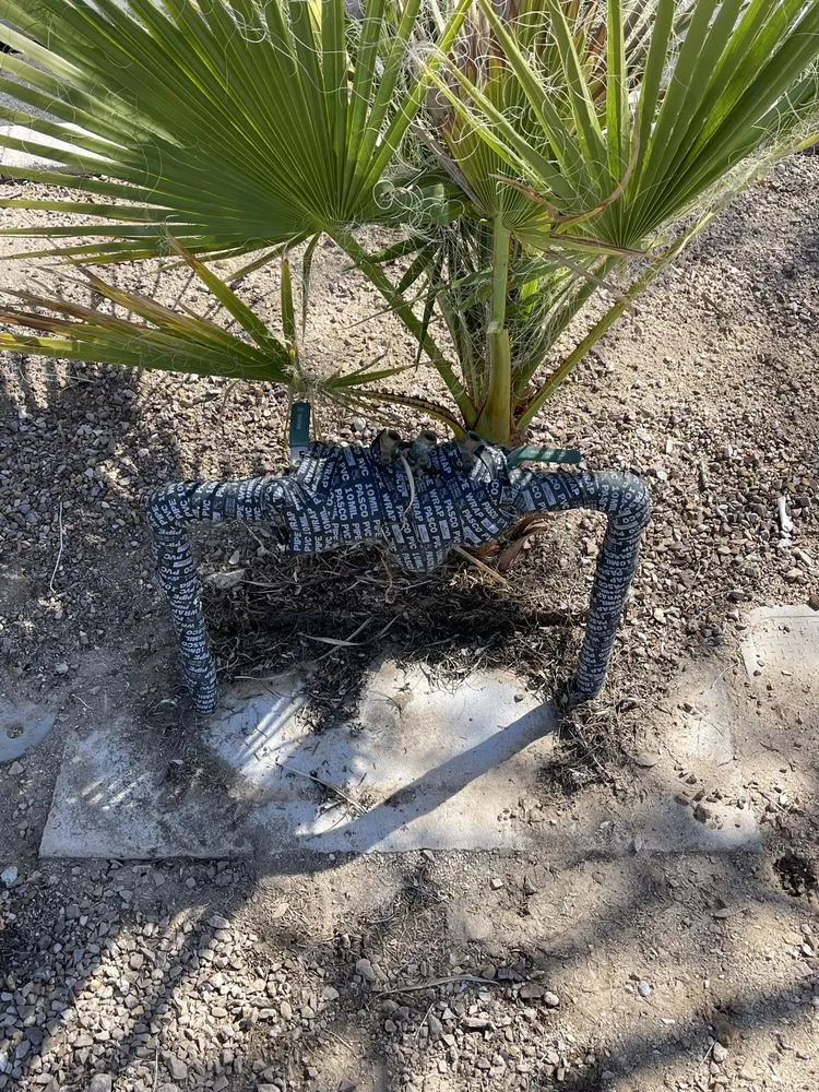 Slide of Blue Collar Backflow