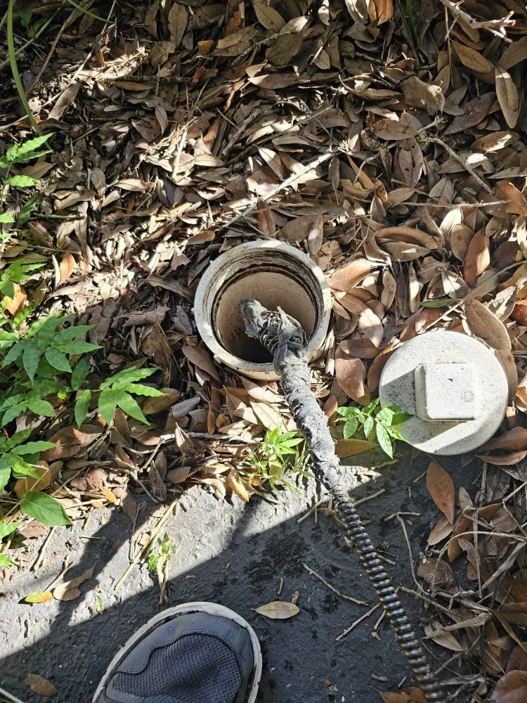 Slide of Blue-Collar Plumbing & Drain Cleaning