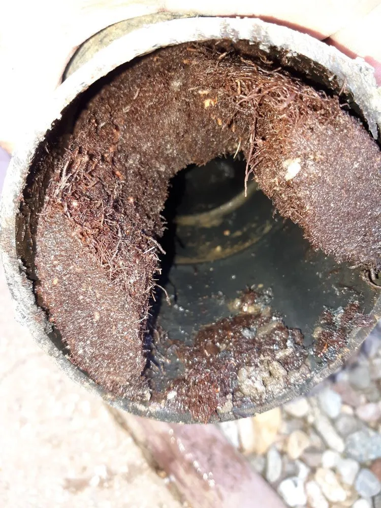 Slide of Blue Collar Plumbing and Rooter