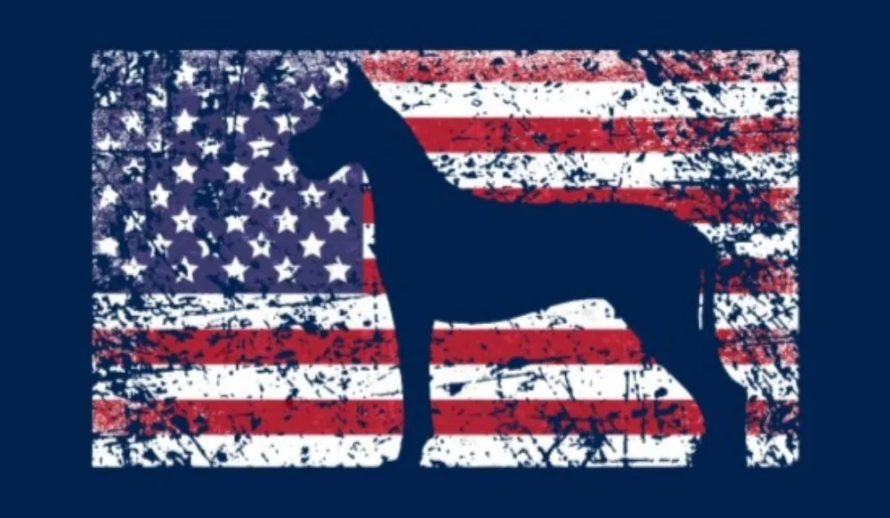 Slide of Blue Dane Plumbing Services