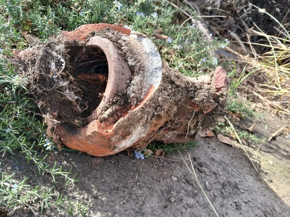Slide of Blue Diamond Plumbing & Rooter
