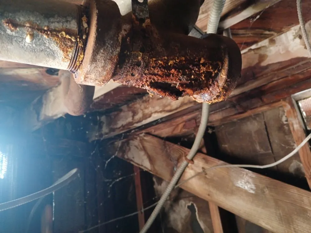 Slide of Blue Diamond Plumbing & Rooter