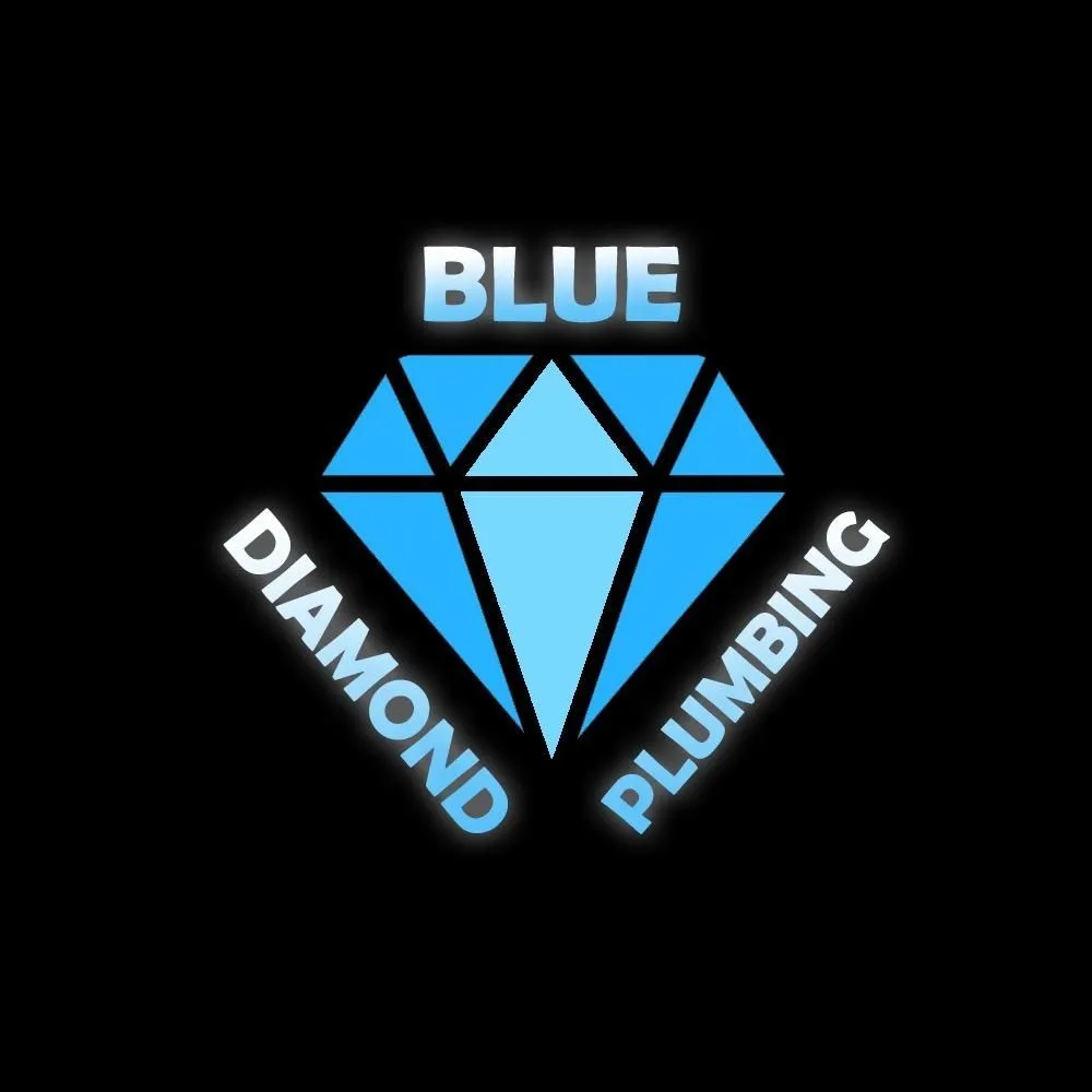 Expert leak detection for homes in Fort Worth, TX by Blue Diamond Plumbing