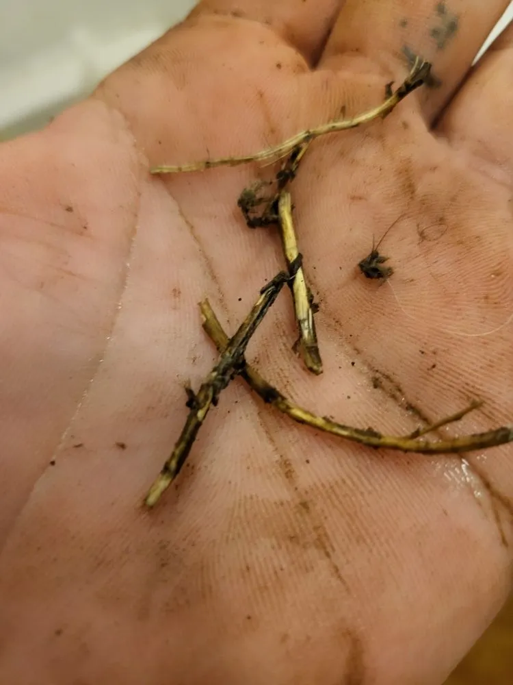 Slide of Blue Diamond Plumbing