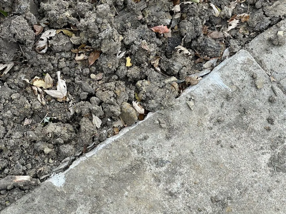 Slide of Blue Dot Heating, Air, Plumbing & Electrical