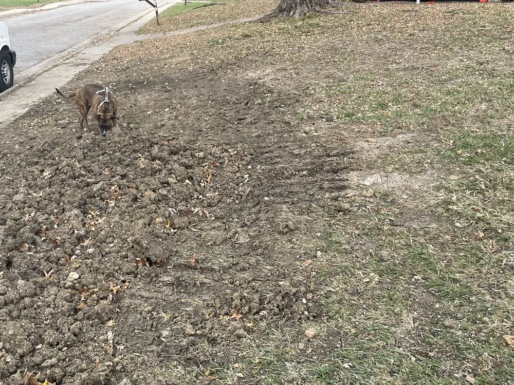 Slide of Blue Dot Heating, Air, Plumbing & Electrical