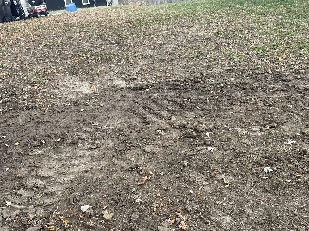 Slide of Blue Dot Heating, Air, Plumbing & Electrical