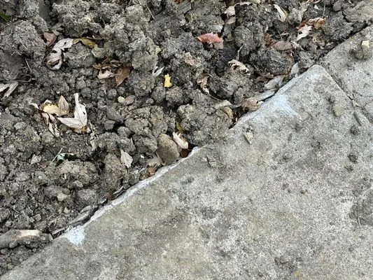 Blue Dot Heating, Air, Plumbing & Electrical Logo