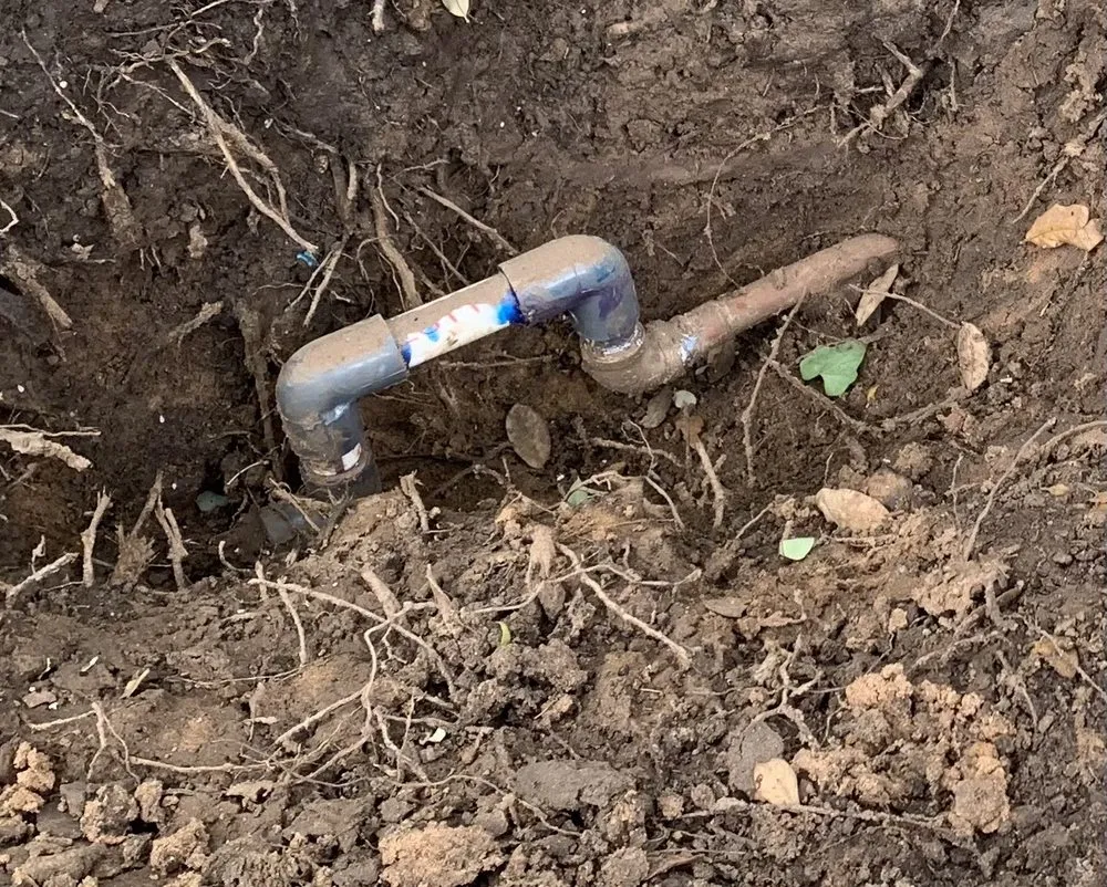 Slide of Blue Dragon Plumbing