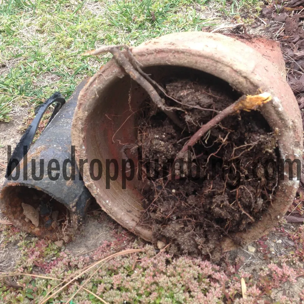 Slide of Blue Drop Plumbing