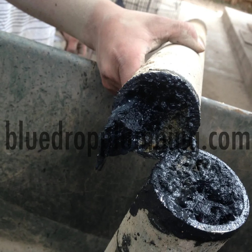 Slide of Blue Drop Plumbing