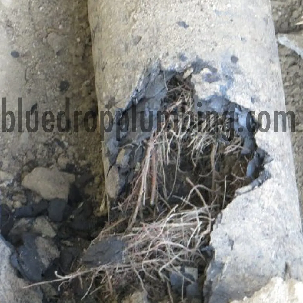 Slide of Blue Drop Plumbing