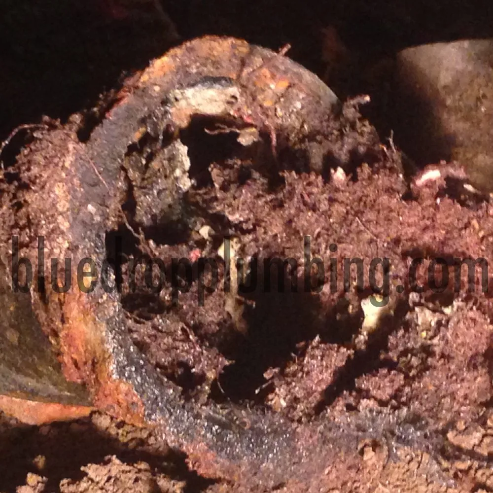 Slide of Blue Drop Plumbing