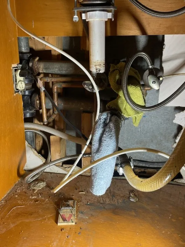 Slide of Blue Duck Plumbing