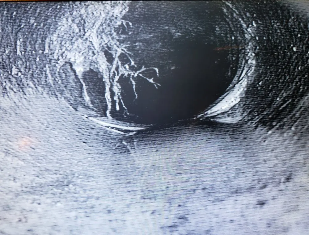 Slide of Blue Duck Plumbing