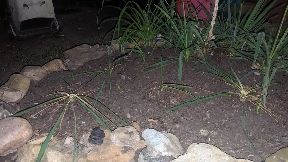 Slide of Blue Duck Plumbing