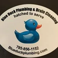 Quality leak detection for homes in Lawrence, KS by Blue Duck Plumbing