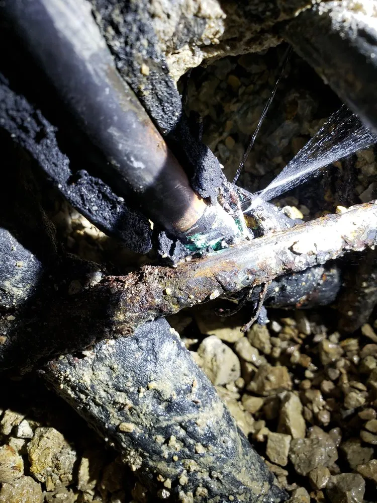 Trusted plumbing repair service in Lawrence, KS - Blue Duck Plumbing