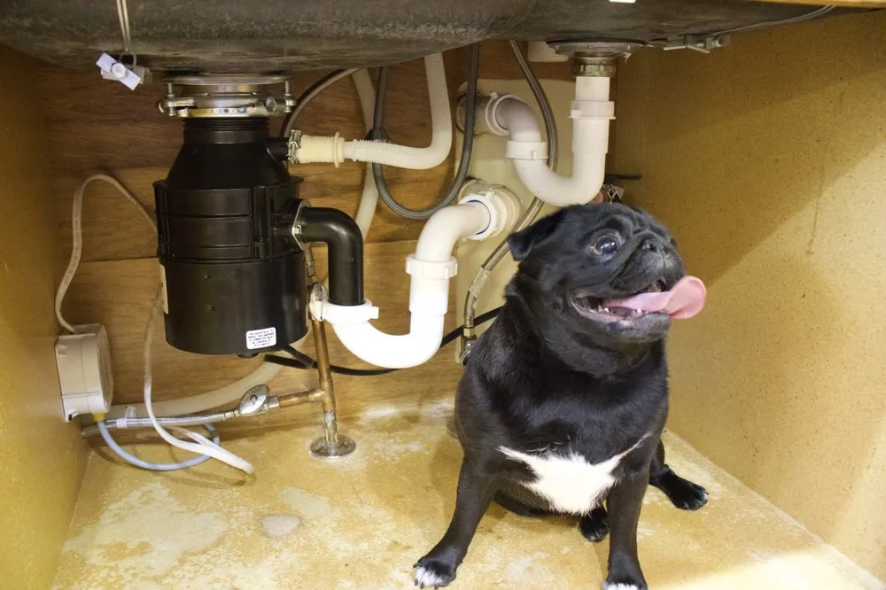 Expert emergency plumbing for homes in Lawrence, KS by Blue Duck Plumbing