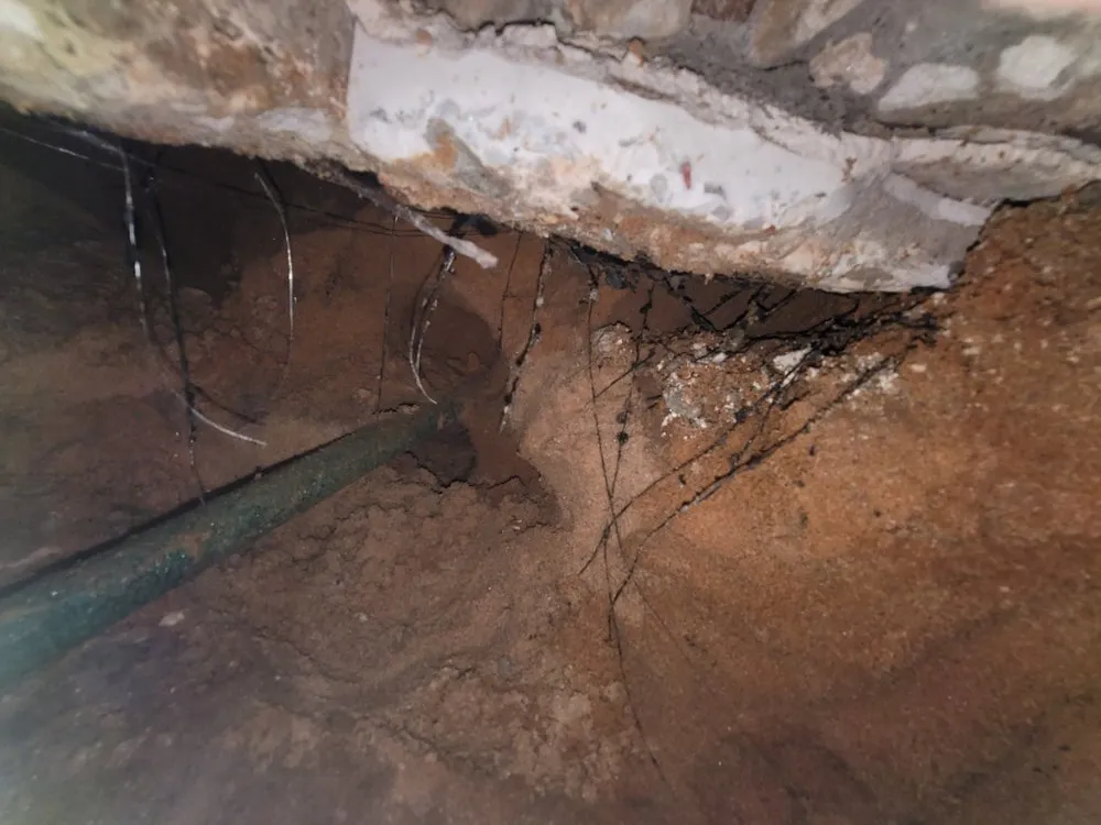 Slide of Blue Gator Services