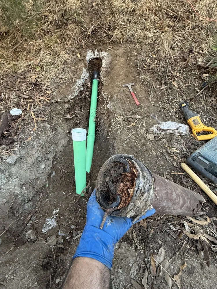 Professional emergency plumbing for homes in San Mateo, CA by Blue Gold Plumbing