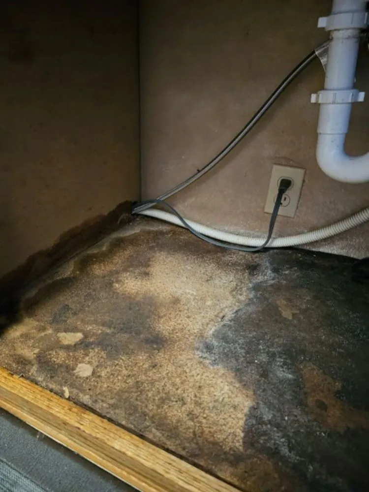 Slide of Blue Jay Home Repair