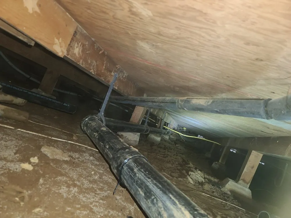 Slide of Blue Line Plumbing