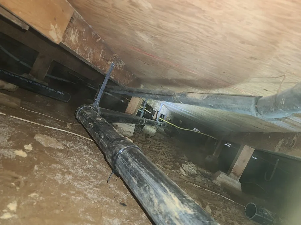 Slide of Blue Line Plumbing