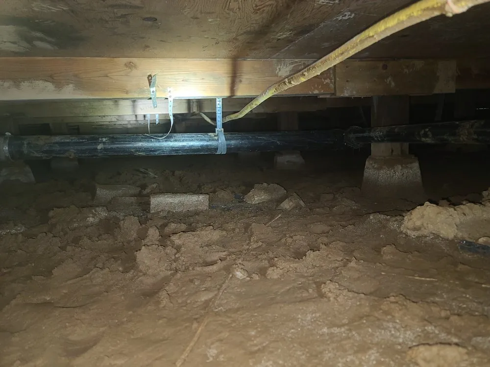 Slide of Blue Line Plumbing