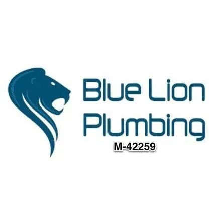 Slide of Blue Lion Plumbing