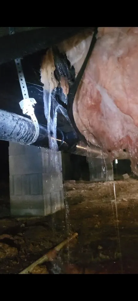 Slide of Blue Moon Plumbing