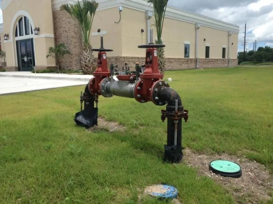 Slide of Blue Mountain Backflow