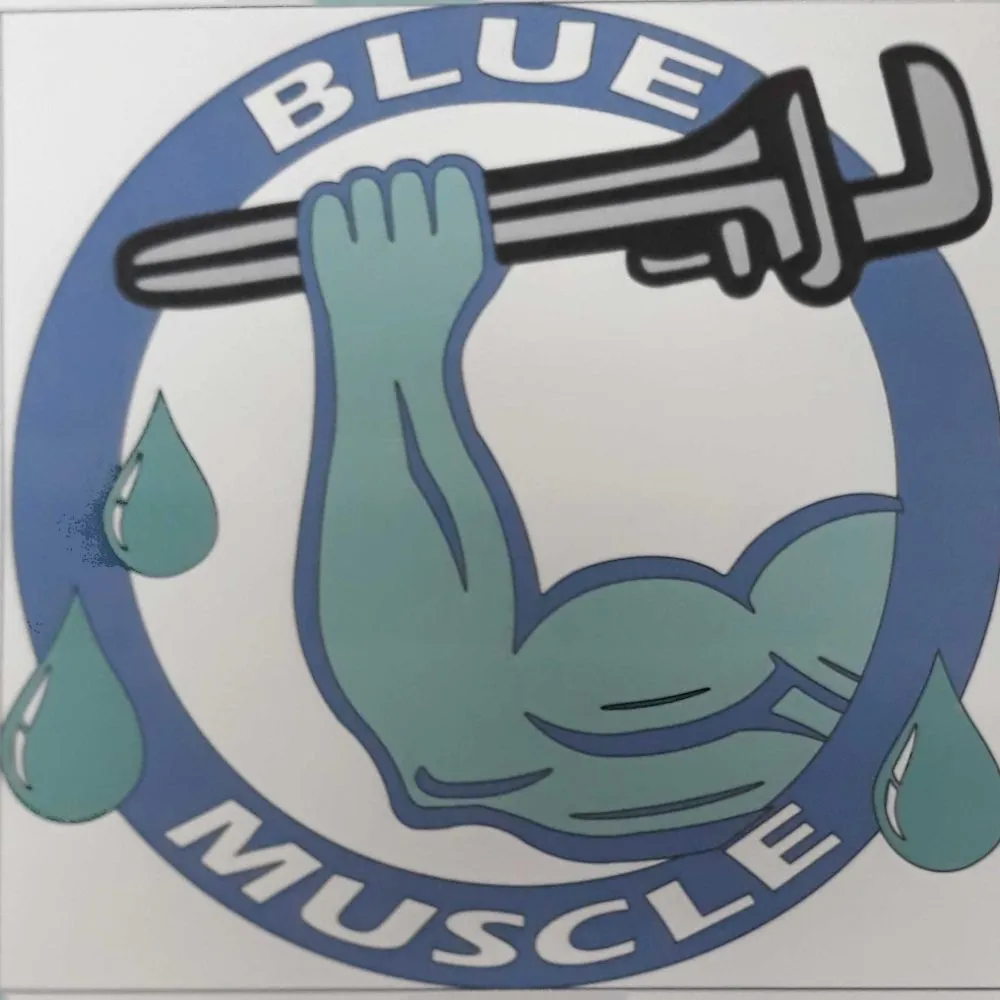 Quality pipe repair in Lancaster, CA by Blue Muscle Plumbing And Rooter Service