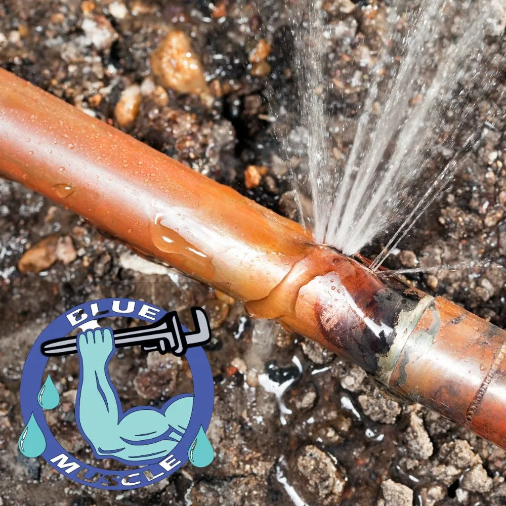 Slide of Blue Muscle Plumbing And Rooter Service