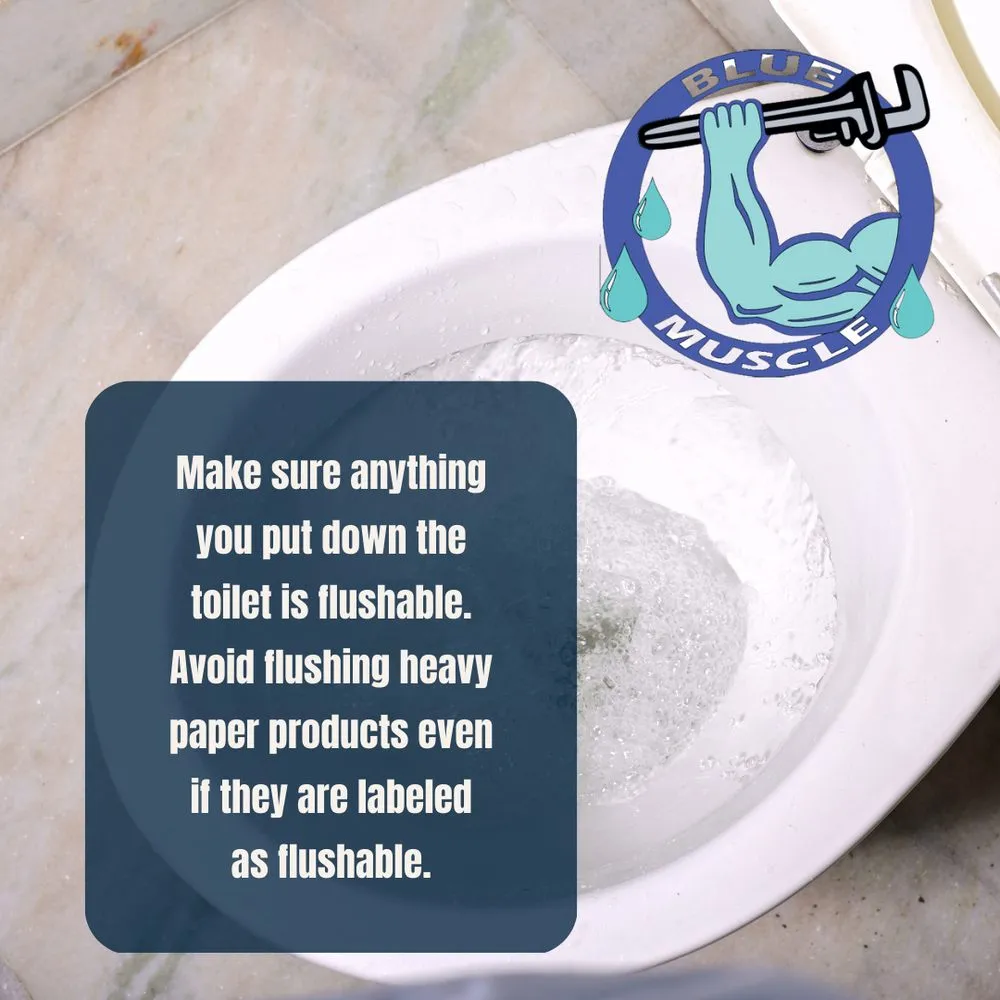 Slide of Blue Muscle Plumbing And Rooter Service