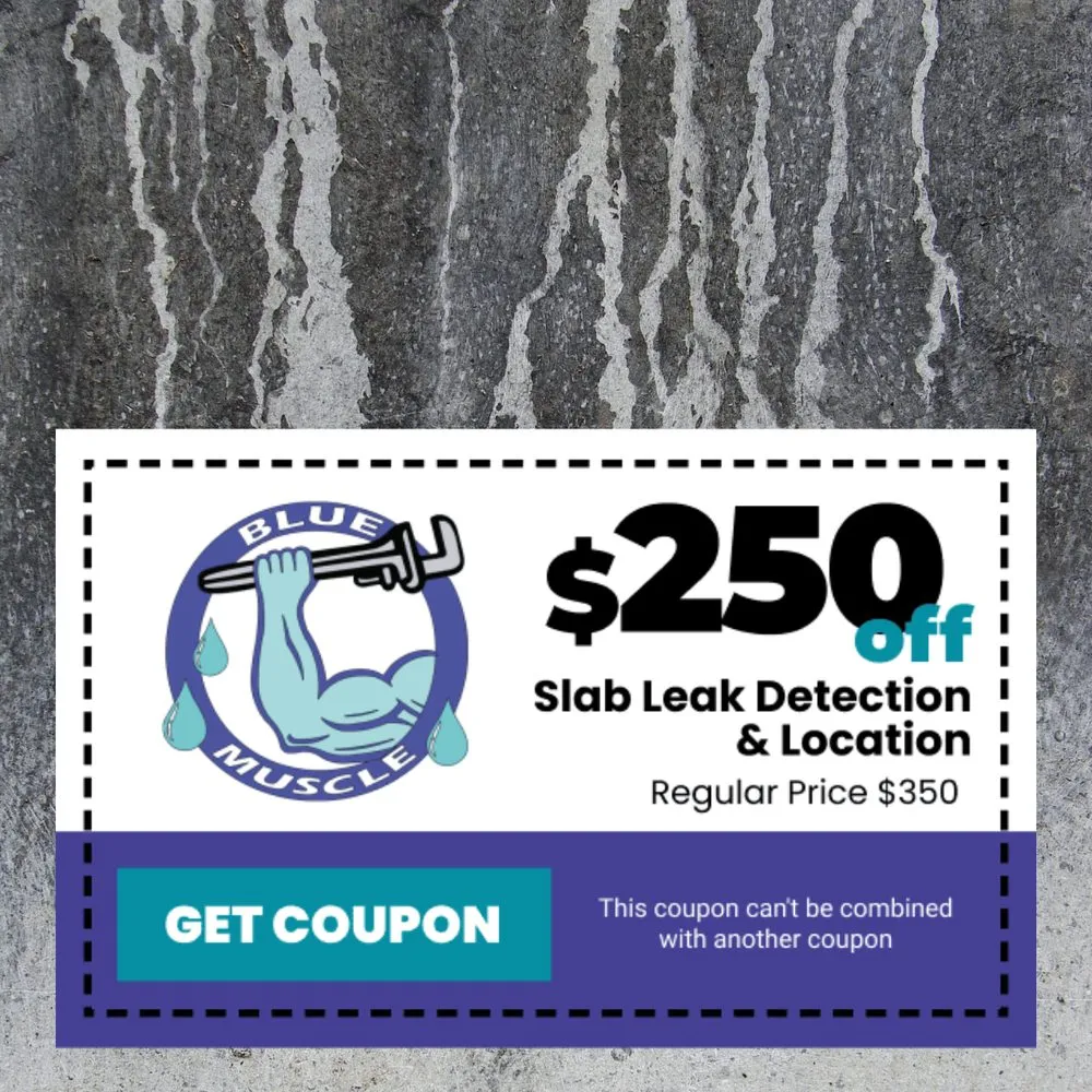 Slide of Blue Muscle Plumbing And Rooter Service