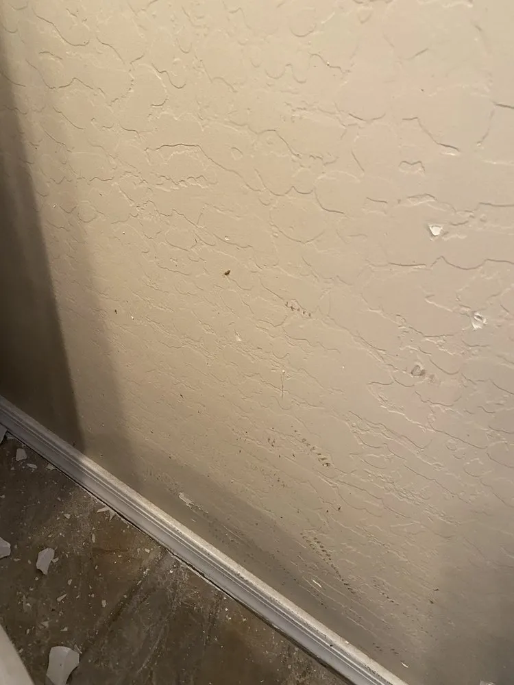 Slide of Blue Plumbing & Drain Cleaning