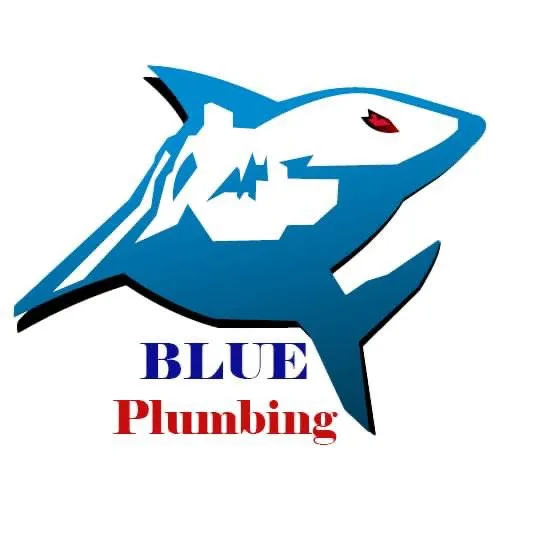 Slide of Blue Plumbing
