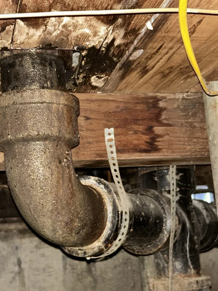 Quality drain cleaning experts serving San José, CA - Blue Rhino Rooter and Plumbing