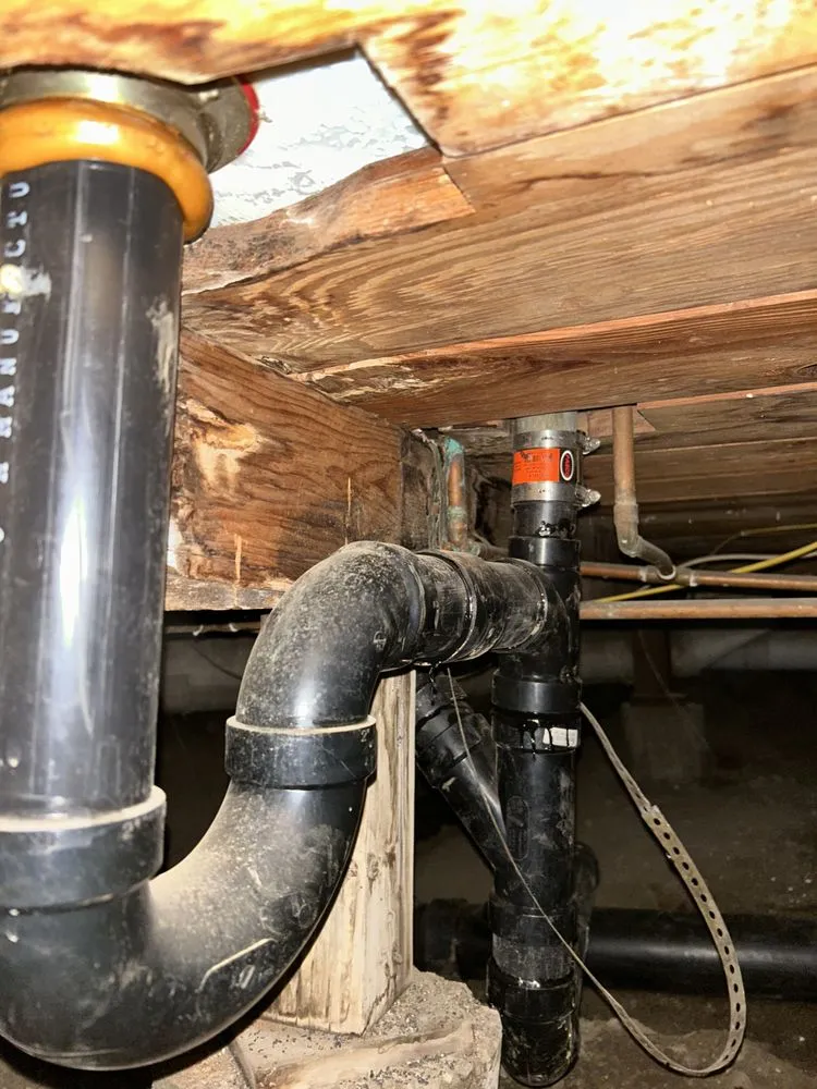 Emergency drain cleaning in San José, CA by Blue Rhino Rooter and Plumbing