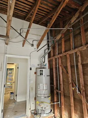 Blue Rhino Rooter and Plumbing Logo