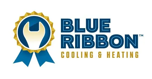 Reliable leak detection in Bastrop, TX by Blue Ribbon Cooling, Heating, Plumbing, & Electrical