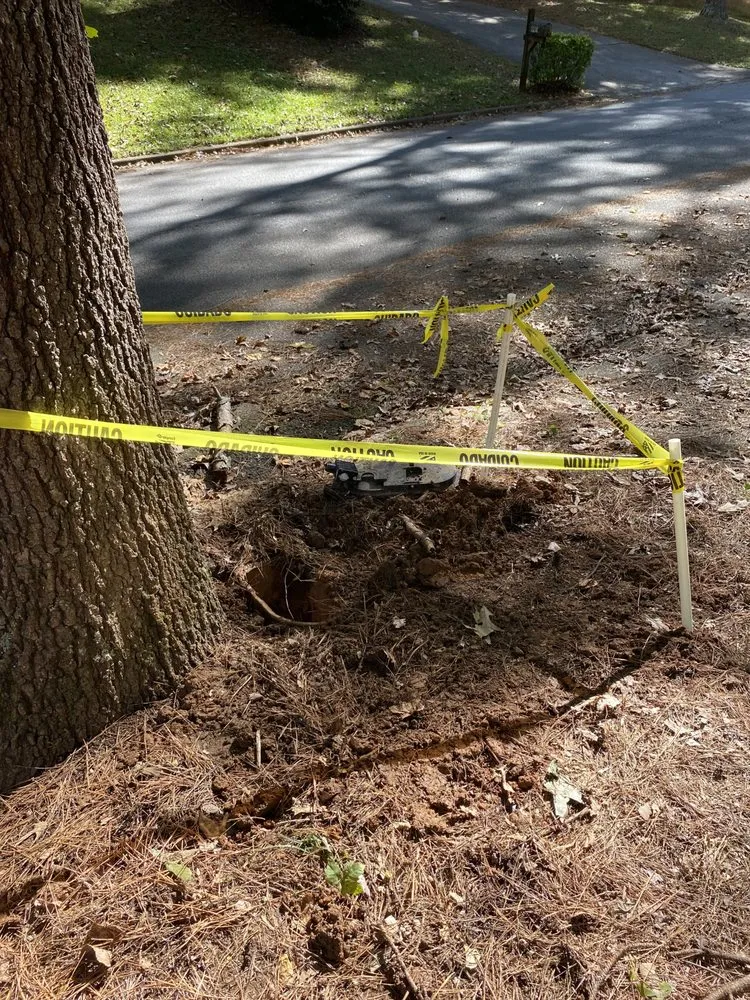 Slide of Blue Ribbon Plumbing Service