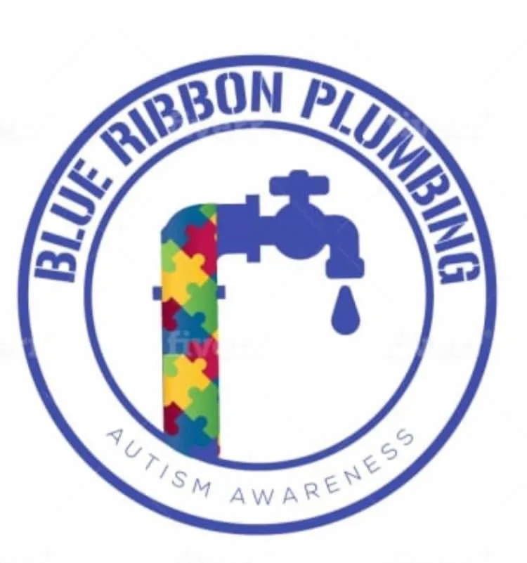Expert drain cleaning service in Stone Mountain, GA - Blue Ribbon Plumbing Service