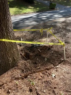 Blue Ribbon Plumbing Service