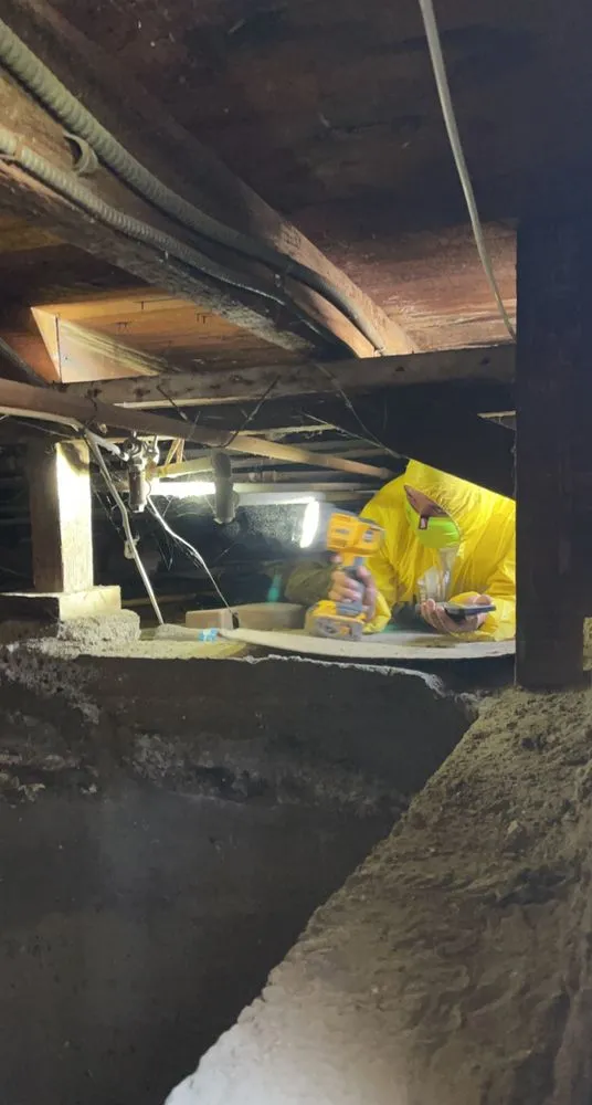 Slide of Blue Ribbon Restoration Consultancy