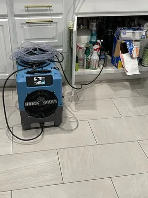 Blue Ribbon Restoration Consultancy Logo