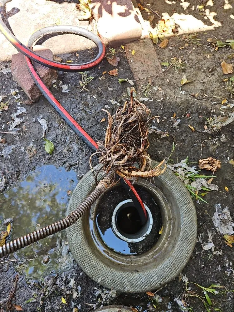 Slide of Blue Shark Rooter And Plumbing