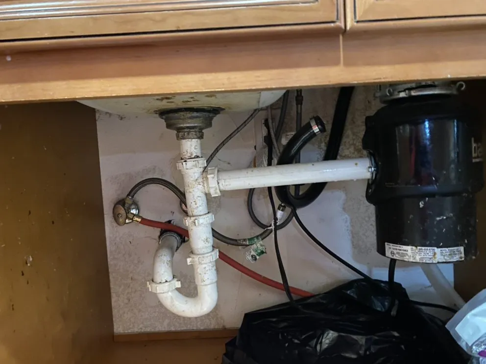Reliable leak detection in Hayward, CA by Blue Shark Rooter And Plumbing